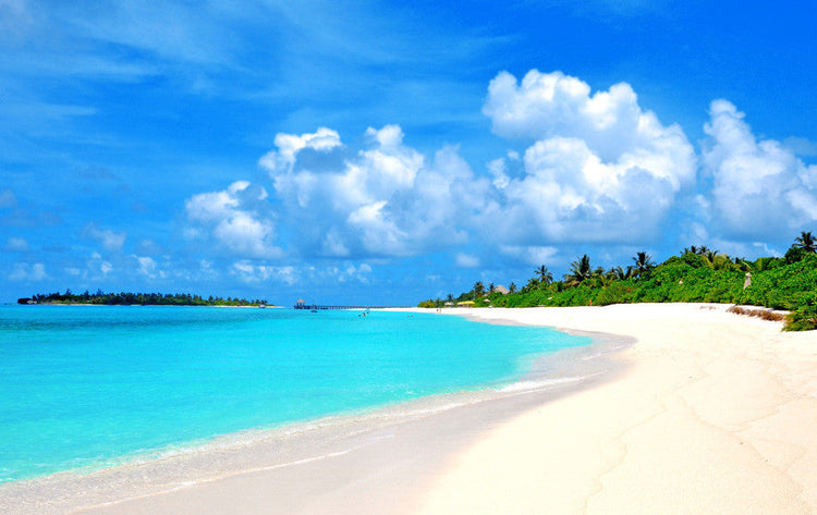 FREETOUR beach chairs